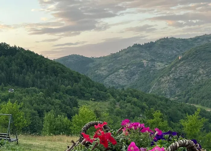 Brvnare Puljci 2 度假居 Nova Varoš